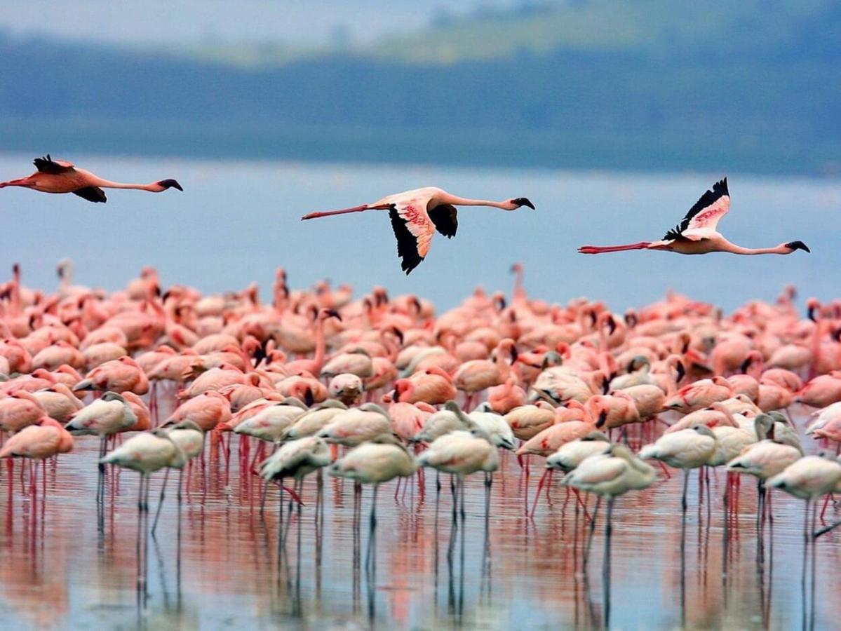 Casa Natura Beach Santa Pola Zewnętrze zdjęcie